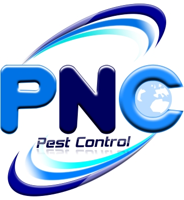 CÔNG TY TNHH TƯ VẤN PHÁT TRIỂN PHƯƠNG NAM